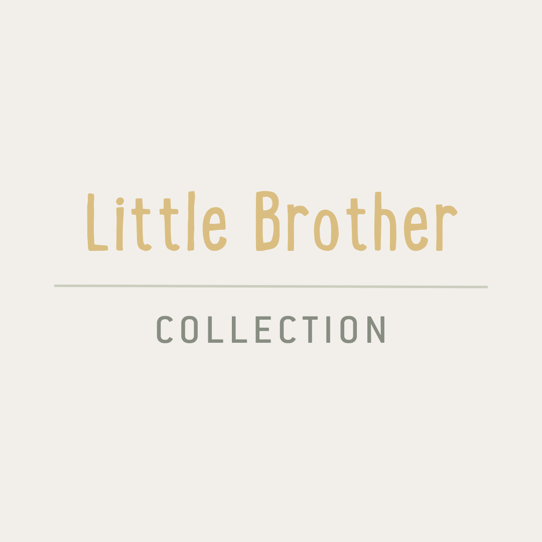 Little Brother
