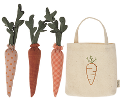 Carrots in Shopping Bag