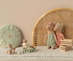 Pig Family